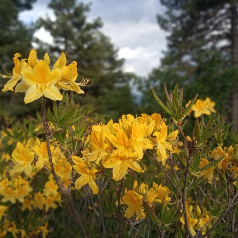 Фото нашего гида Ирины Пряничниковой.