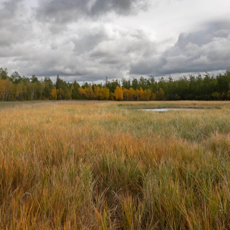 Фото нашего гида Михаила Верёвченко