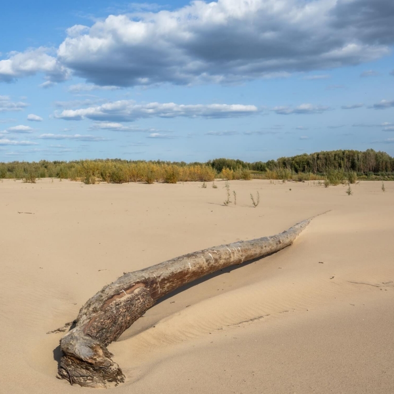 Фото нашего гида Михаила Верёвченко