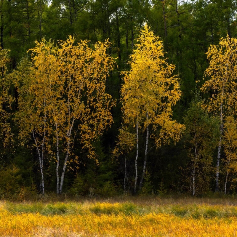 Фото нашего гида Михаила Верёвченко