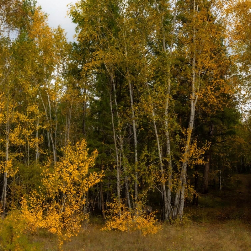 Фото нашего гида Михаила Верёвченко