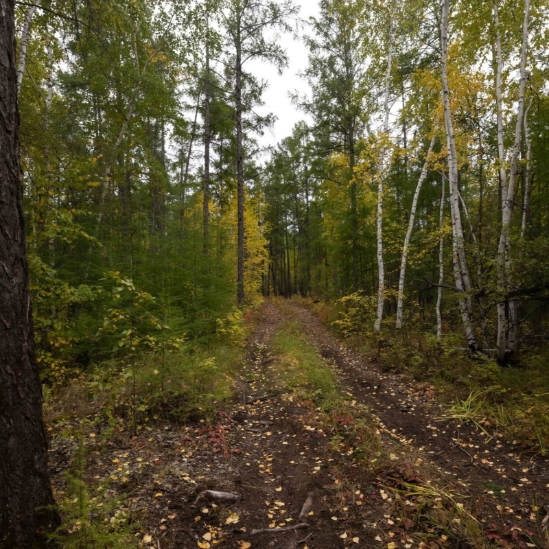 Фото нашего гида Михаила Верёвченко