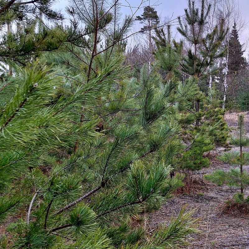 Фото нашего гида Александра Чудновского