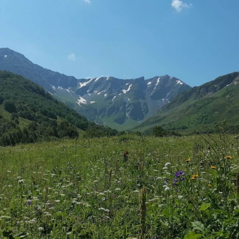 Фото из архива Клуба