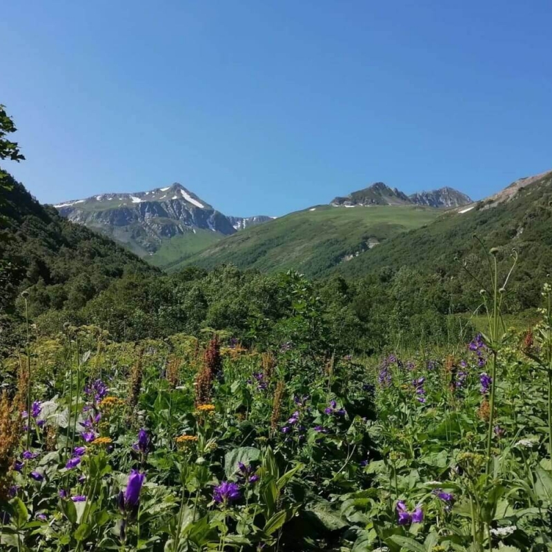 Фото из архива Клуба