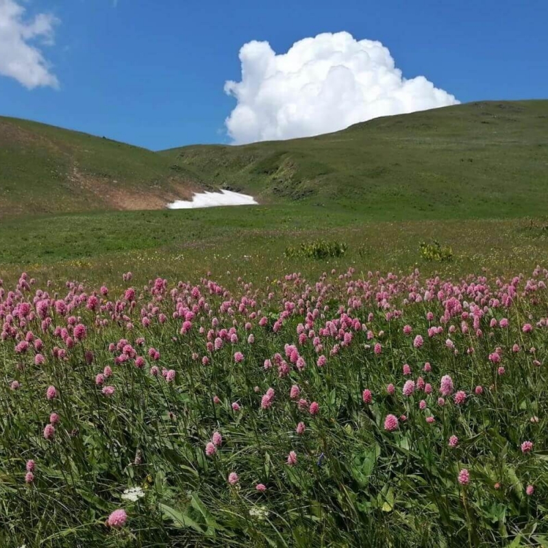 Фото из архива Клуба