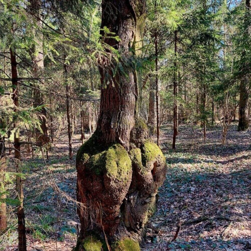 Фото нашего гида Александра Чудновского
