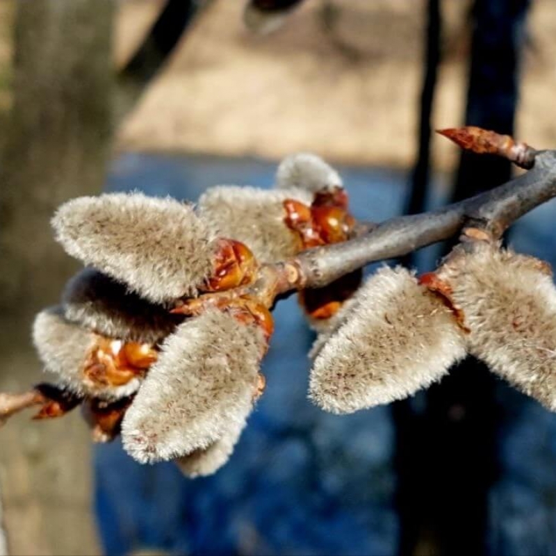 Фото нашего гида Александра Чудновского