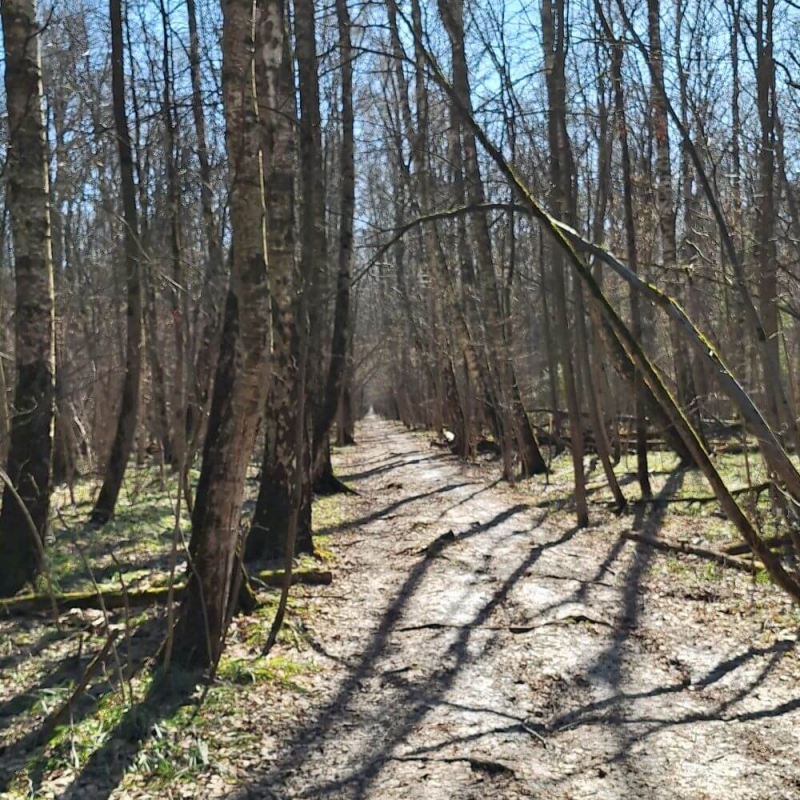 Фото нашего гида Александра Чудновского