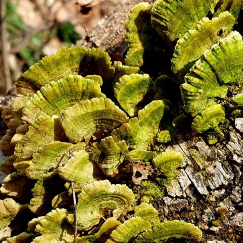 Фото нашего гида Александра Чудновского