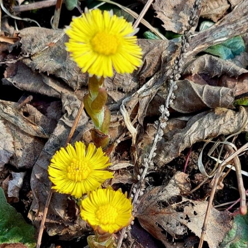 Фото нашего гида Александра Чудновского