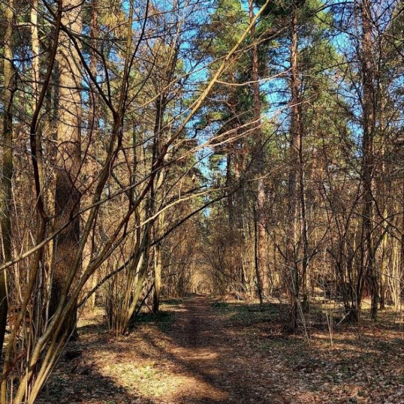 Фото нашего гида Александра Чудновского