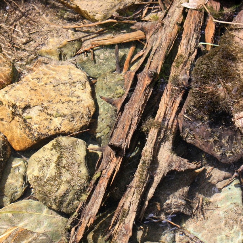 Чистейший горный ручей.