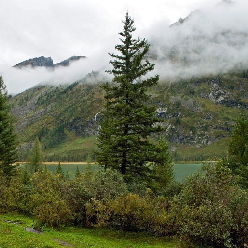 После дождя. На кордоне.