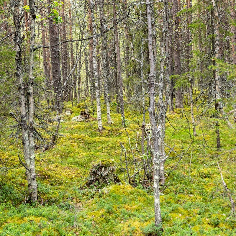 Фото: Дмитрий Ксенофонтов