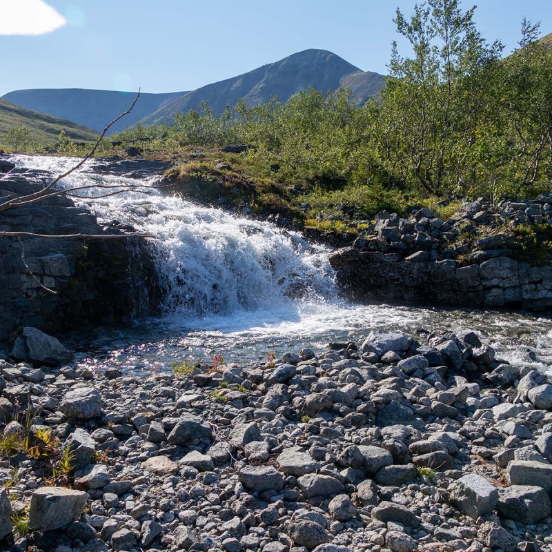 Фото: Дмитрий Ксенофонтов
