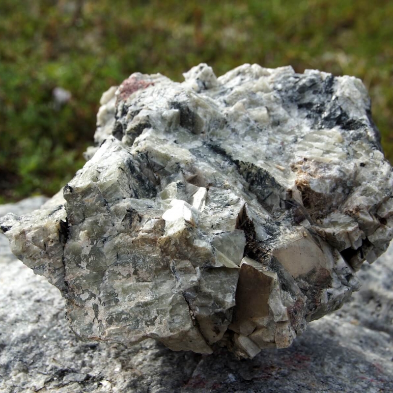 Фото: Антон Певцов