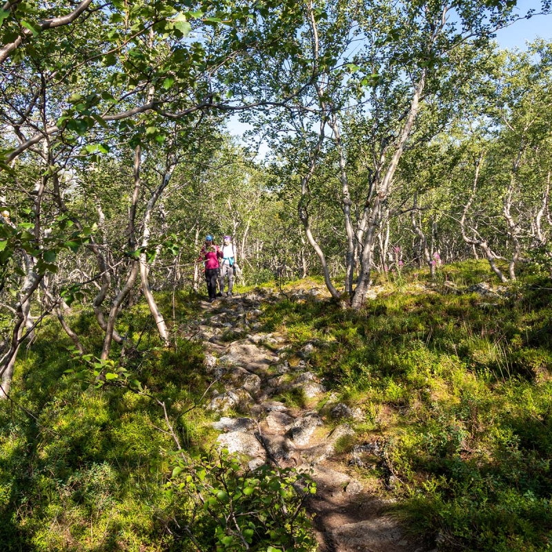 Фото: Дмитрий Ксенофонтов