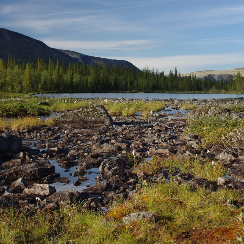 Фото: Андрей Блохин