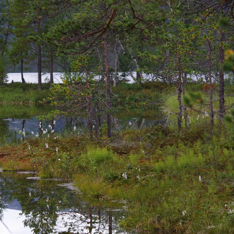 Фото: Андрей Блохин