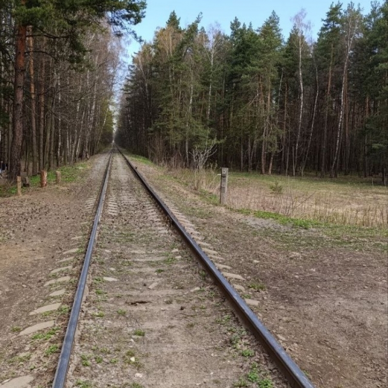 Фото нашего гида Александра Чудновского