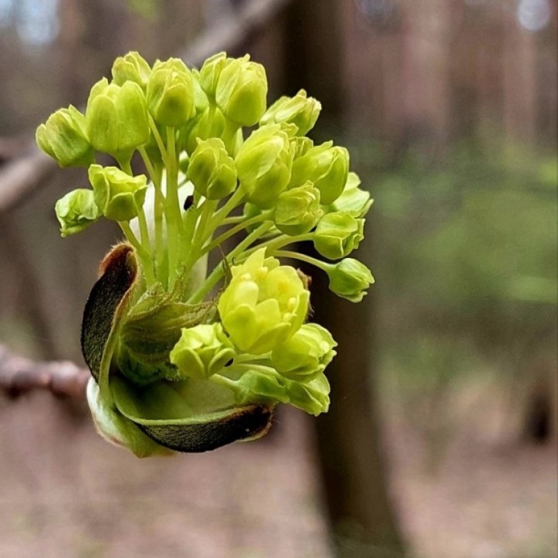Фото нашего гида Александра Чудновского