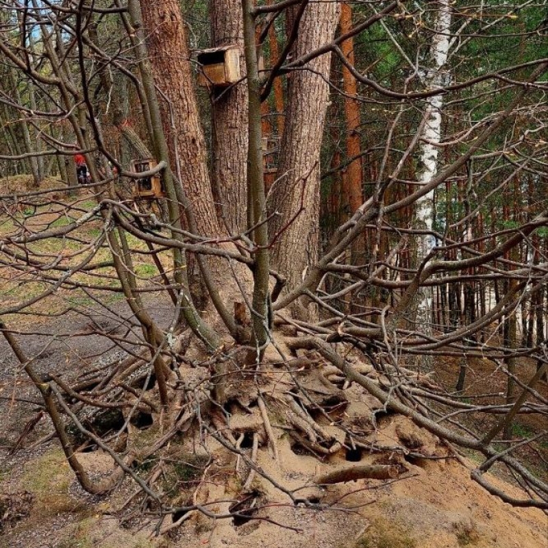 Фото нашего гида Александра Чудновского