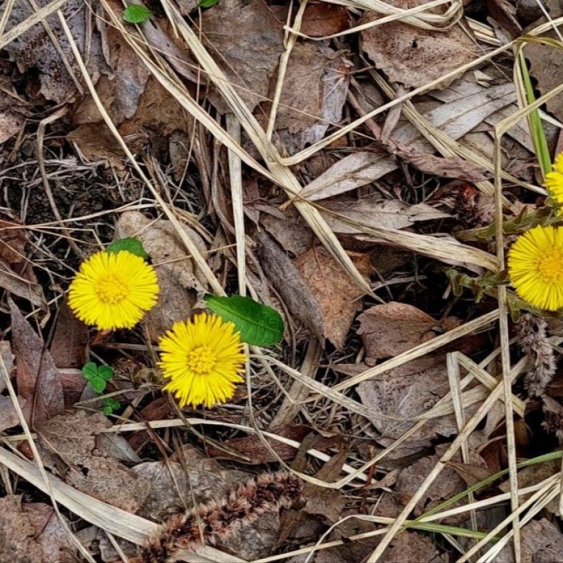 Фото нашего гида Александра Чудновского