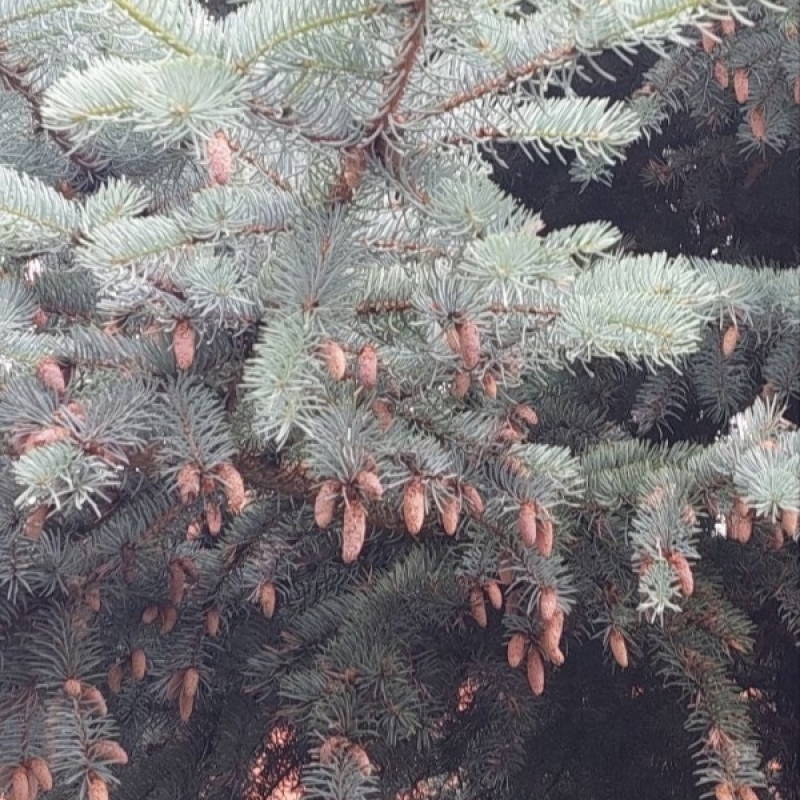 Фото нашего гида Александра Чудновского