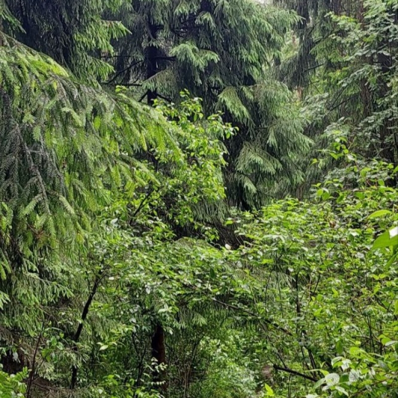 Фото нашего гида Александра Чудновского