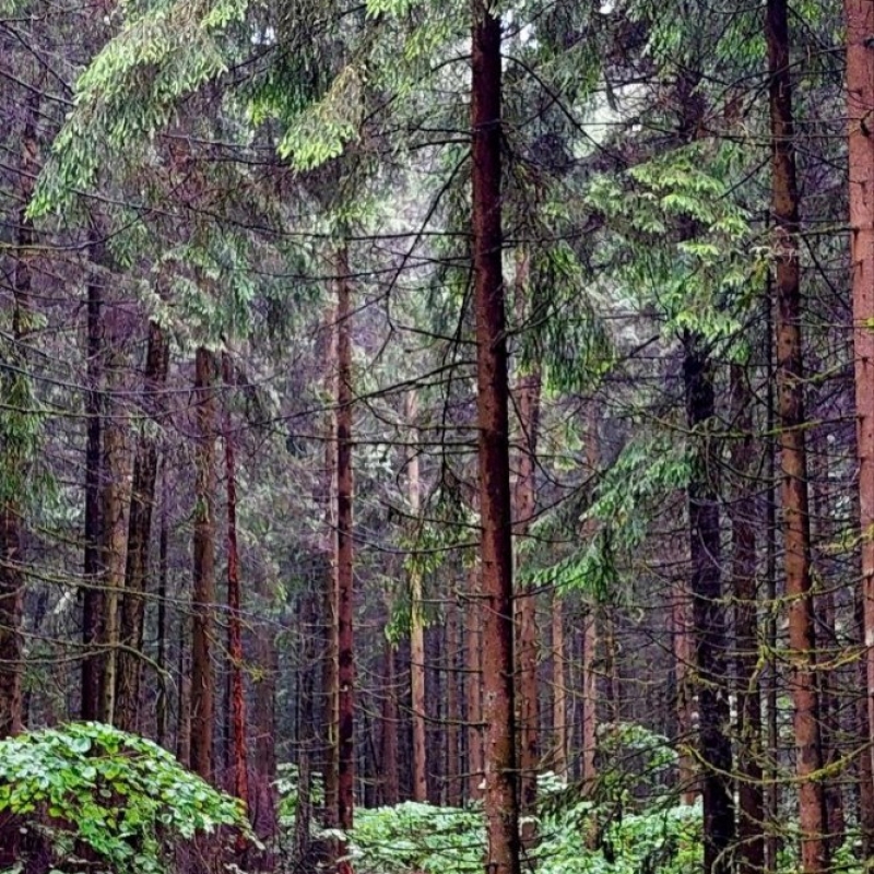 Фото нашего гида Александра Чудновского