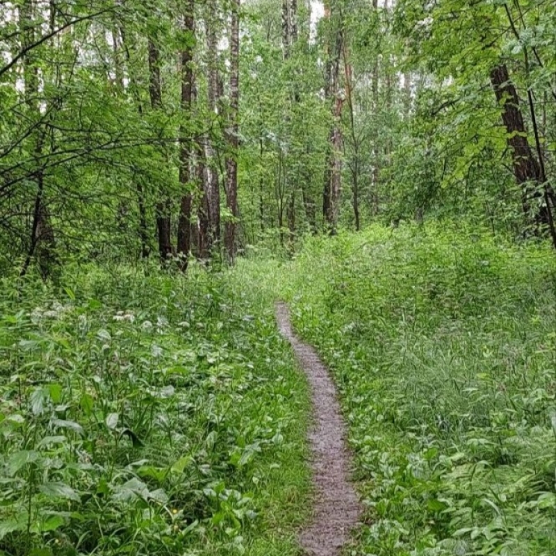 Фото нашего гида Александра Чудновского