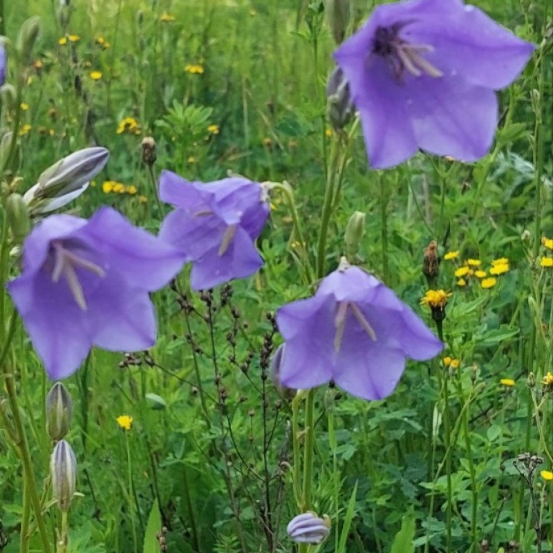 Фото нашего гида Александра Чудновского