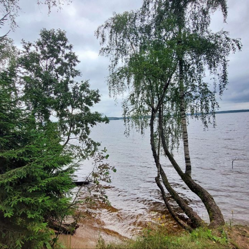 Фото нашего гида Александра Чудновского