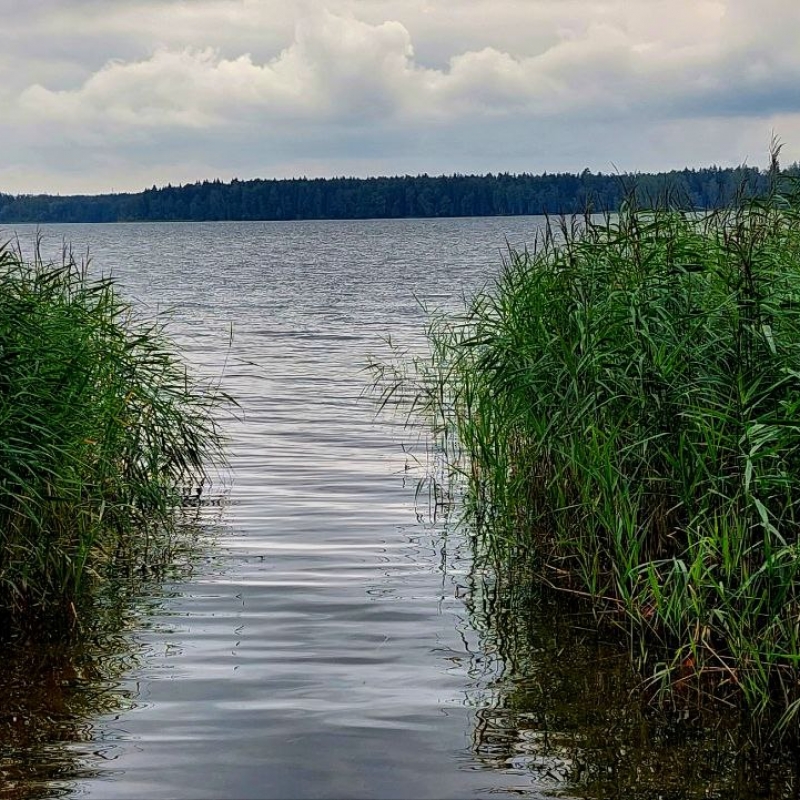 Фото нашего гида Александра Чудновского
