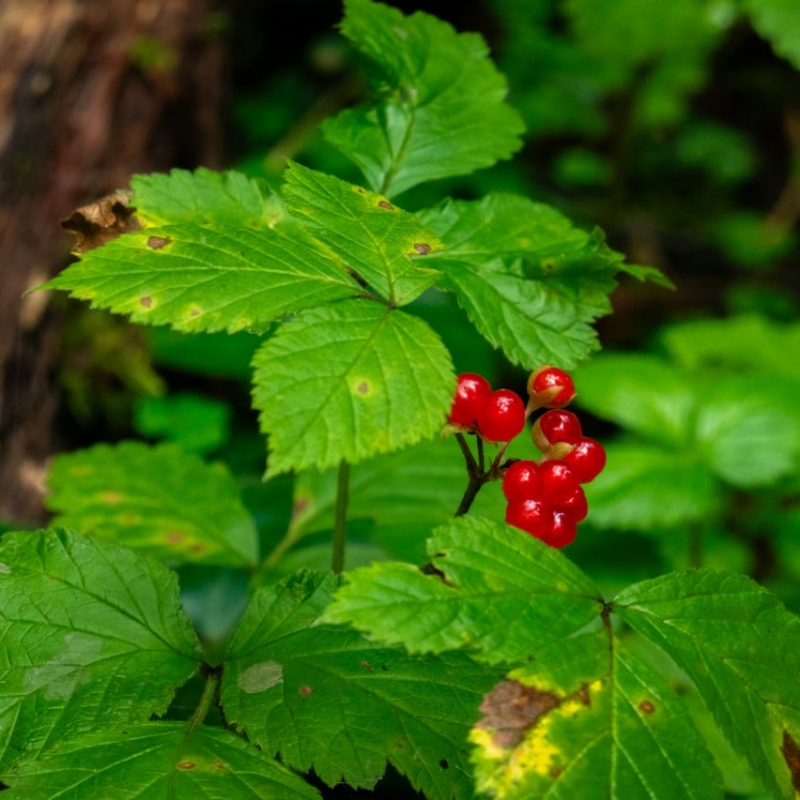 Фото нашего гида Александра Чудновского