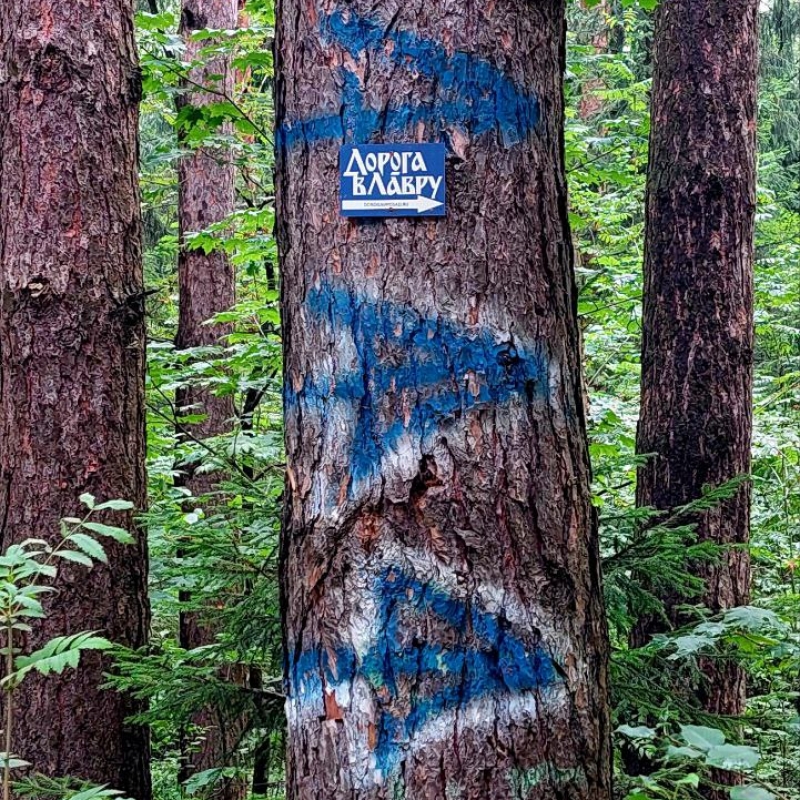 Фото нашего гида Александра Чудновского