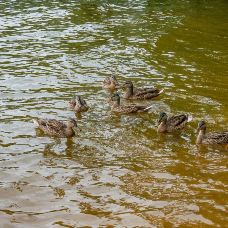 Фото нашего гида Александра Чудновского