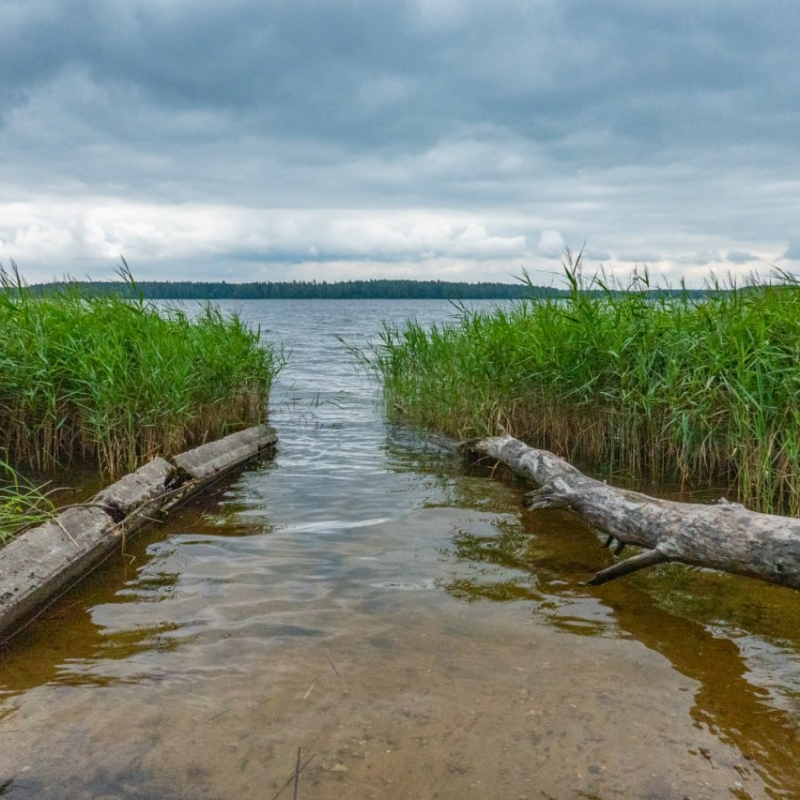 Фото нашего гида Александра Чудновского
