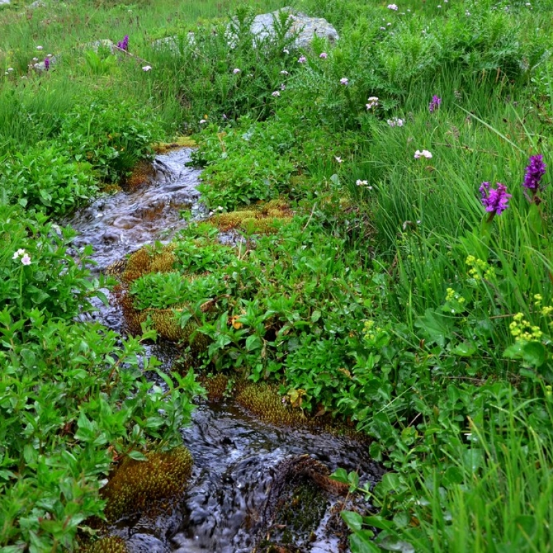 из путешествия в 2016 году