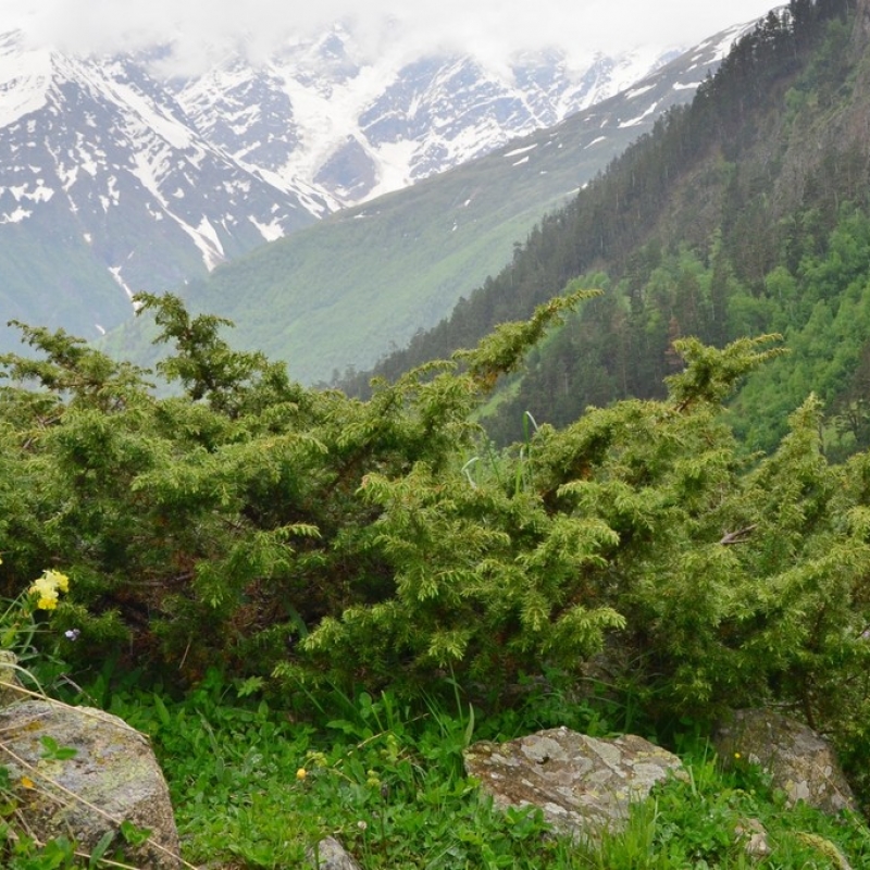 из путешествия в 2016 году