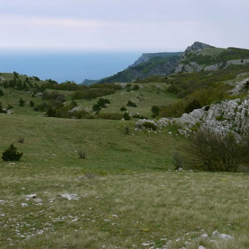 Ай-Петринская яйла