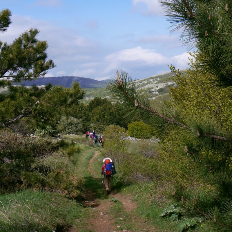 Тур стоянка Беш-Текне