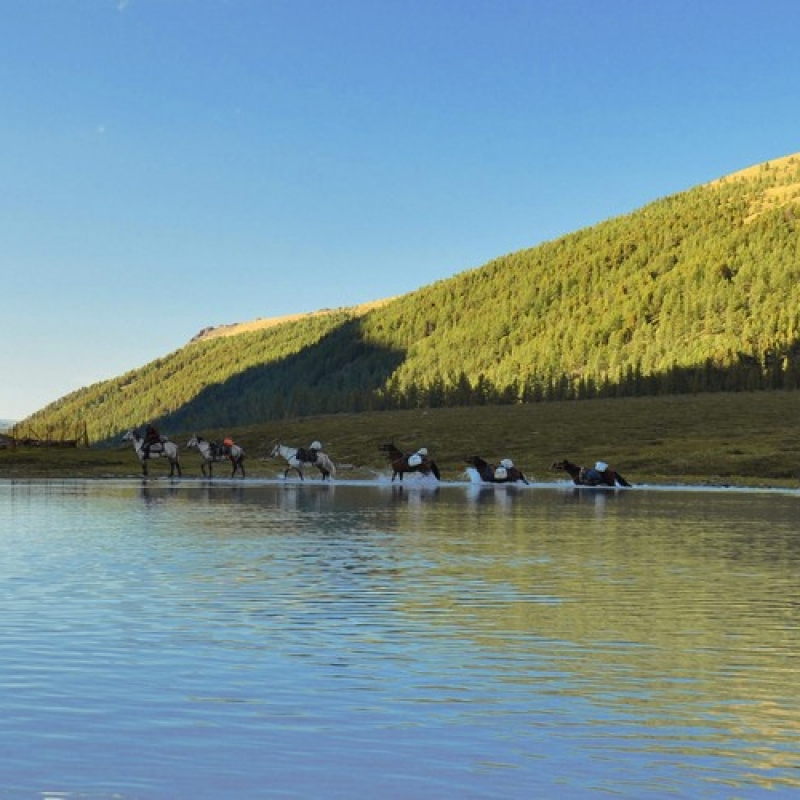 Лошади переходят Ак-Кемское озеро