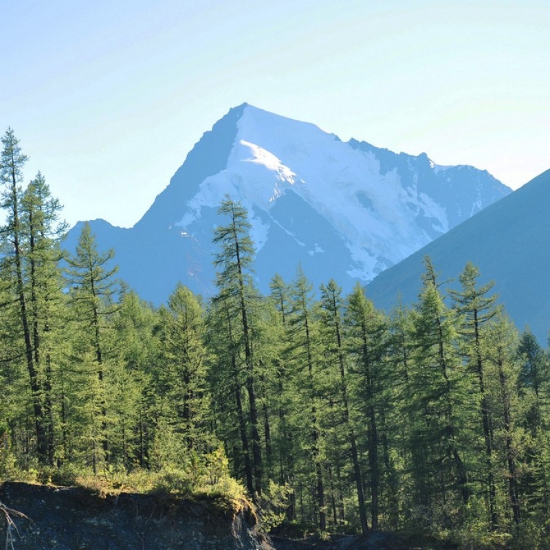 вид на гору Корона Алтая