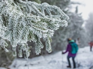 Прогулка по лесу к Моревским карьерам