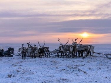 Экспедиция из Якутска на Полюс Холода