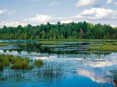 Прогулка к Бельскому болоту