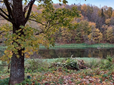 Прогулка к Васильевским каменоломням