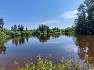 Прогулка по лесопарку Озёрный